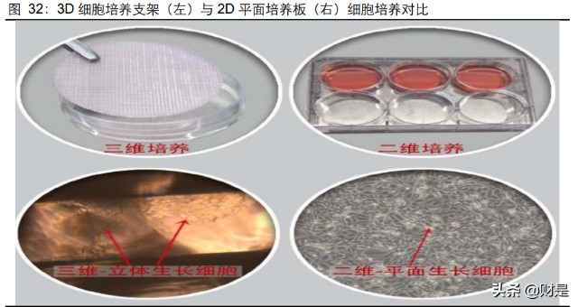 洁特生物研究报告：国内生物实验室耗材综合方案解决供应商