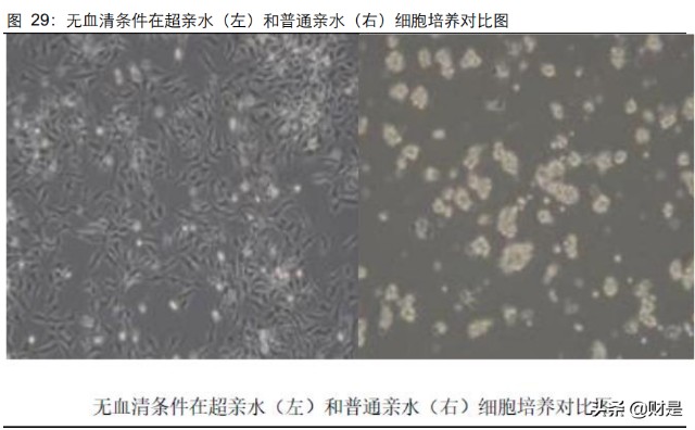 洁特生物研究报告：国内生物实验室耗材综合方案解决供应商