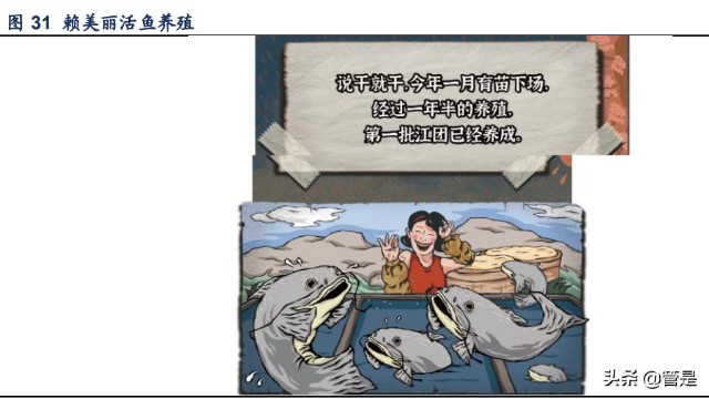 餐饮行业之九毛九研究：“太二”增长可期，“怂”火锅蓄势待发