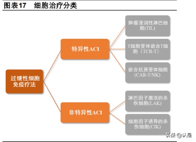 细胞治疗行业之药明巨诺研究报告：细胞治疗商业化领军者