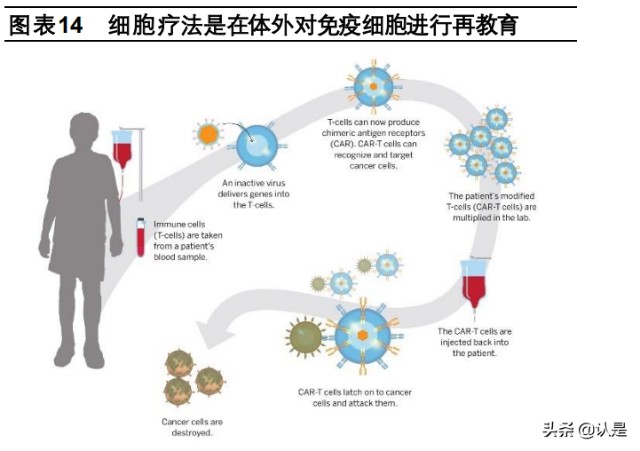 细胞治疗行业之药明巨诺研究报告：细胞治疗商业化领军者