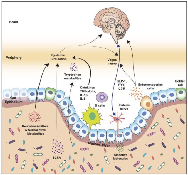 聚疗整合医学创始人胡家扬做自闭症康复领域的颠覆者