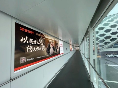 (我们在深圳机场廊桥)都能看到焕新后的我们哦~深圳都市频道《第一