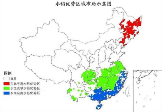 2021年中国大米市场运行情况总结及2022年行业走势预测