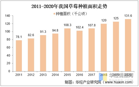 中國草莓種植面積產量出口需求及使用農藥登記現狀分析