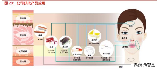 医美行业之爱美客研究报告：国内医美巨头成长进行时
