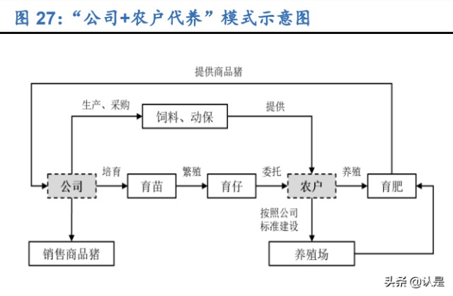 生猪养殖行业龙头牧原股份研究报告