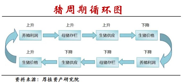 生猪价格周期的产生原因具体来讲就是,当猪价行情好时,猪价高涨,养殖