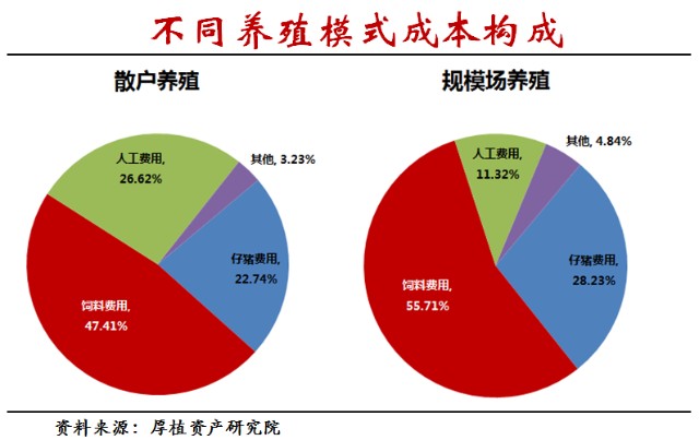 (3)养殖成本与盈利水平 生猪的养殖成本大体上包括仔猪,饲料,人工