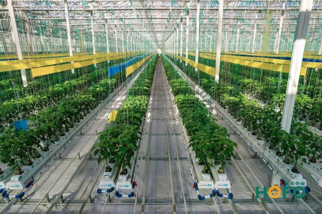 频获央视点赞宏福集团做对了什么