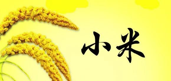 小米手机最大战略失误就是LOGO应该选择一粒米