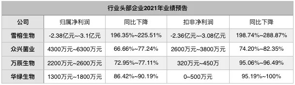 金针菇之“剩者为王”丨研究