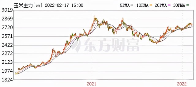 金针菇之“剩者为王”丨研究