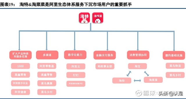 阿里巴巴专题研究：从淘特和淘菜菜看阿里新零售的增长前沿