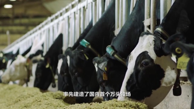 飞鹤荣登中国品牌强国盛典“国品之光”品牌