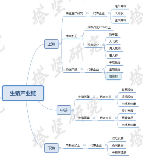 饲料生猪养殖产业链跟踪新希望vs海大集团vs唐人神周期