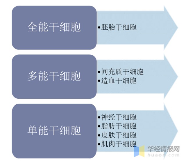 2020年全球及中国干细胞医疗行业发展现状及竞争情况分析美国领先于