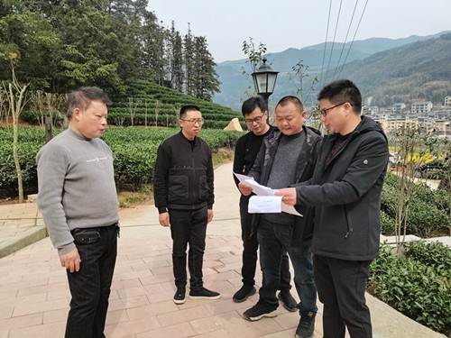政和县启动茶叶质量安全管控专项行动
