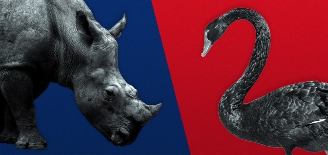 黑天鹅灰犀牛都来了2022投资如何稳中致胜