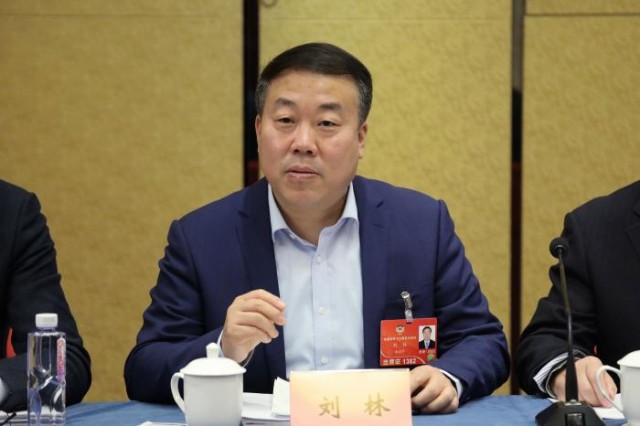 专访全国政协委员刘林坚持公益属性民办教育转型加快光明在前