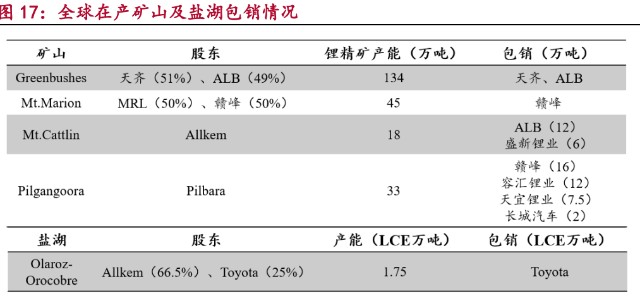 锂行业研究报告：超级周期开启，全球资源竞争白热化