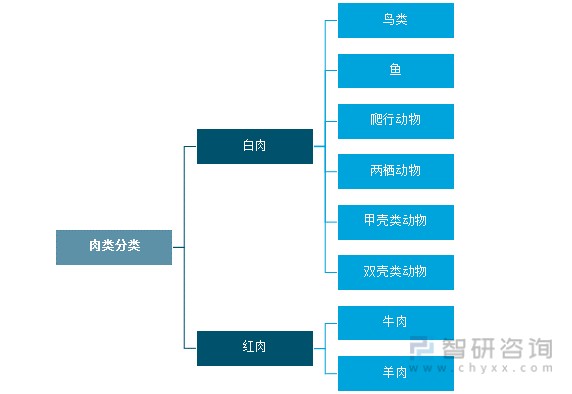 肉类分类