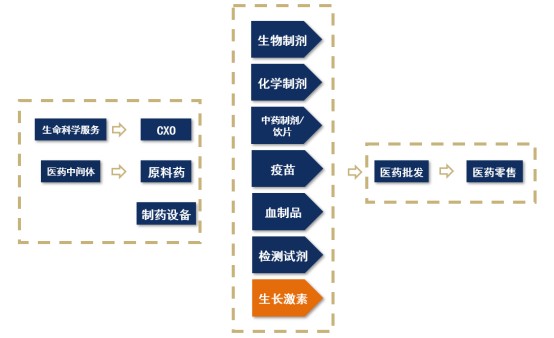 产业链系列文章医药产业链上市公司盘点之生长激素篇