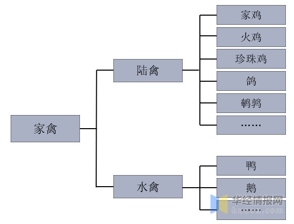 家禽的分类