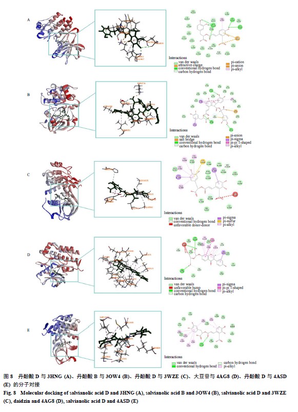 基於斑馬魚模型和分子對接技術的心可舒片促血管生成活性成分研究