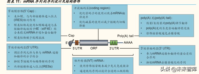 医药行业专题研究报告：核酸疫苗，创新未来