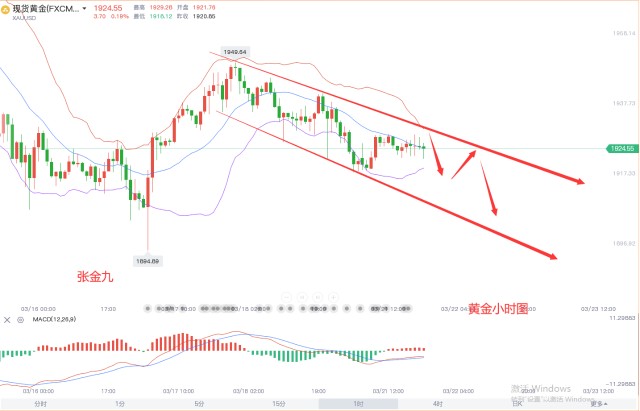 张金九3/21黄金美盘看下行，晚间走势分析，操作策略分享