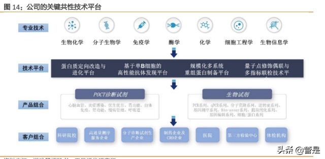 生物技术研发：创新生命科学探索的未来之路