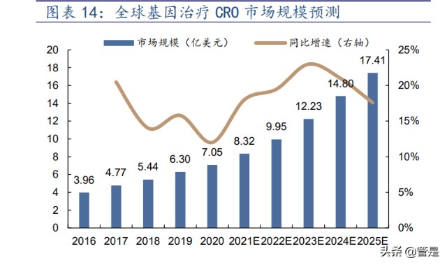 细胞基因疗法-和元生物研究报告