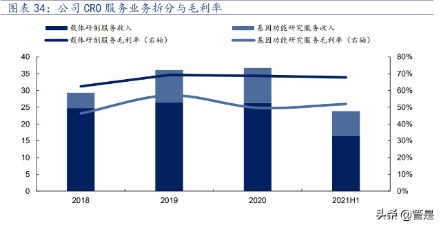 细胞基因疗法-和元生物研究报告