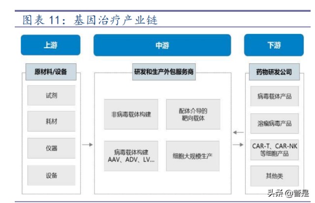 细胞基因疗法-和元生物研究报告