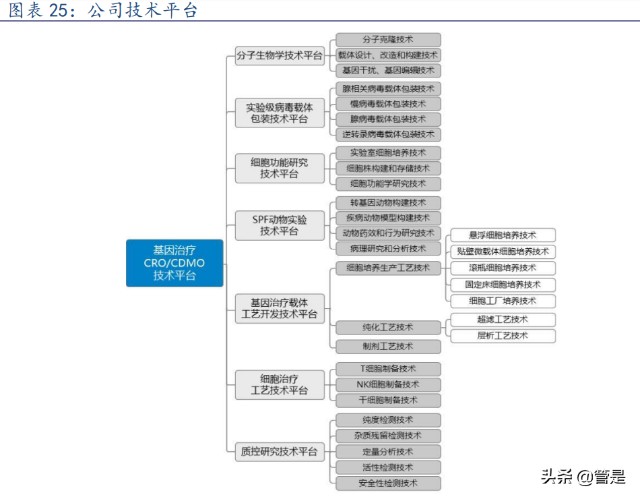 细胞基因疗法-和元生物研究报告