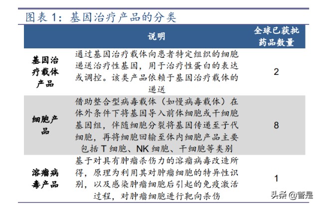 细胞基因疗法-和元生物研究报告