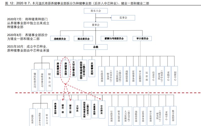 养殖业企业组织结构图图片