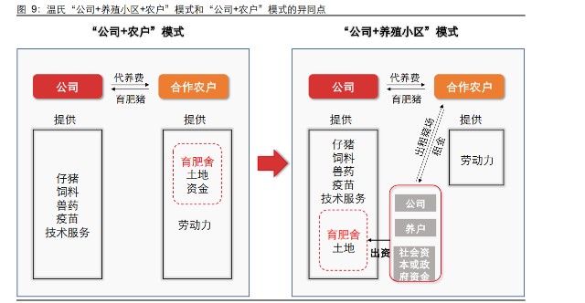 生猪养殖-温氏股份研究报告：拾级而上，终可拿云