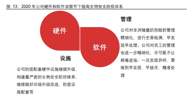 生猪养殖-温氏股份研究报告：拾级而上，终可拿云
