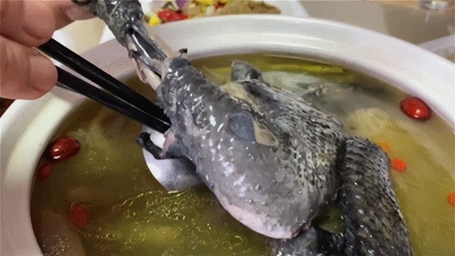 门头沟进山的路上发现一个大院，全竹宴、八大碗！能吃还能住