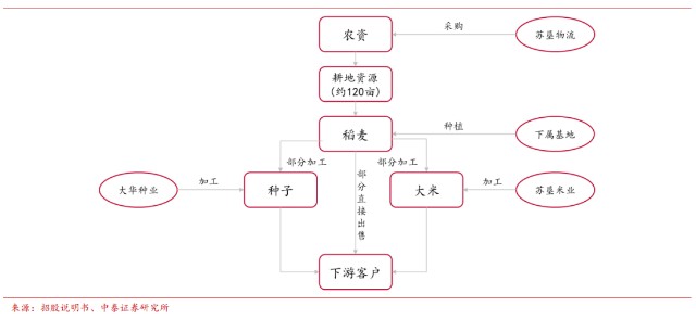 良种育繁,农产品加工销售及农业社会化服务等业务的全产业链规模化国