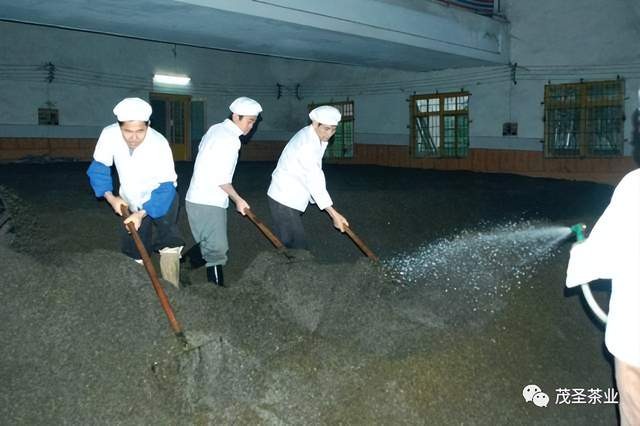 日本客商慕名來到梧州瞭解六堡茶,當看到六堡茶在地上渥堆發酵的情景