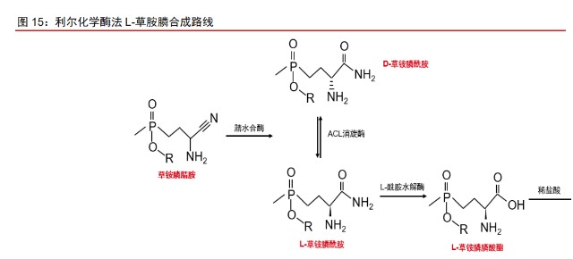 草铵膦龙头利尔化学报告：“普草”加速渗透，“精草”时代将至