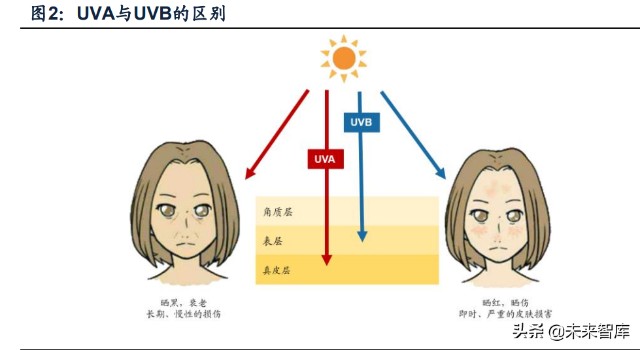 防晒化妆品行业专题研究：三轮驱动快速增长，国货品牌迎来机遇
