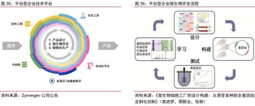 生物技术研发：推动生命科学的进步