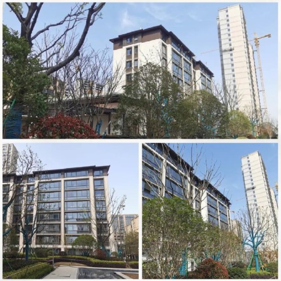 4月4日,滨湖禹洲绿城兰园发布4月家书 ,公布了最新的工程进度.