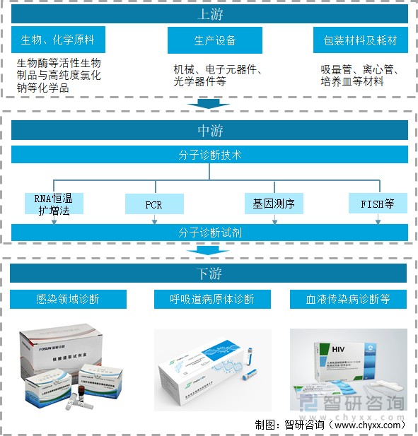 2021年分子诊断产业链分析: 新冠疫情下,分子诊断产业飞速发展[图]