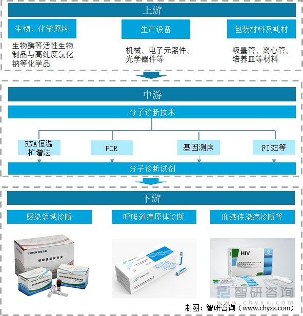 2021年分子诊断产业链分析新冠疫情下分子诊断产业飞速发展图