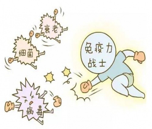 免疫系统就像是我们健康的护卫队,不仅能抵御外来致病因素,还能稳定内